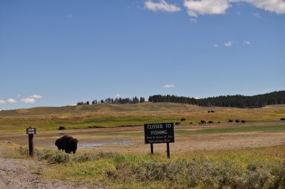 DSC_0305.jpg