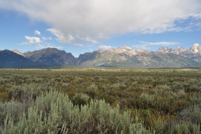 DSC_0347.jpg