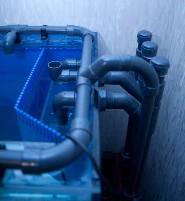 Half full - plumbing 1.jpg