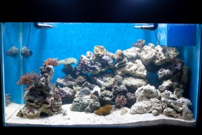 Full Tank March 09