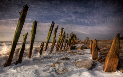 Spurn Defences II