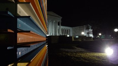    A Gallery of a Gallery {Albright-Knox}