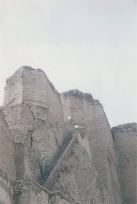 Some fortress - Iran '67.jpg