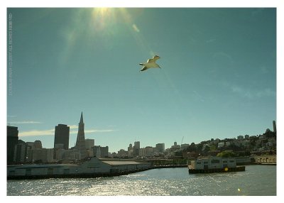 Just San Francisco and me!