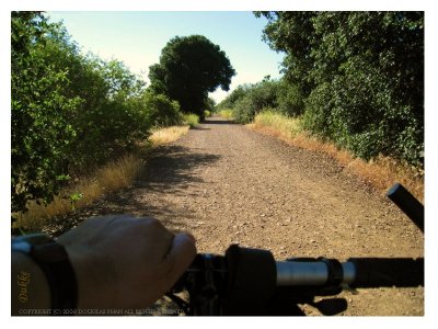 Dike road!