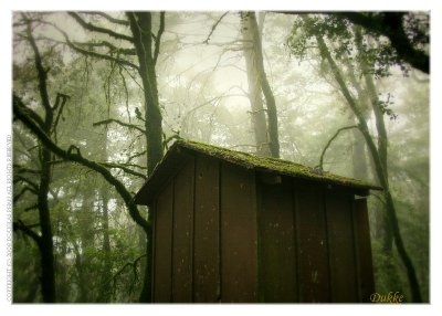 The hut!