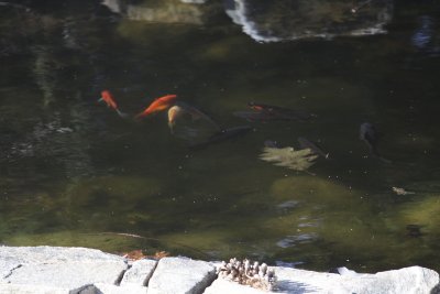 IMG_3546.jpg