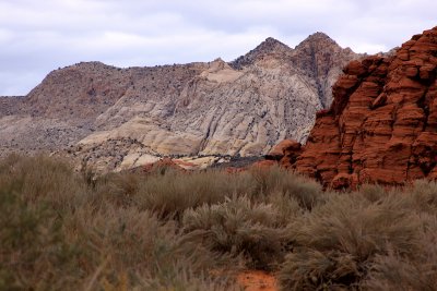 IMG_6206.jpg