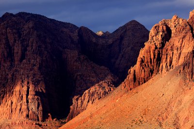 IMG_6585.jpg