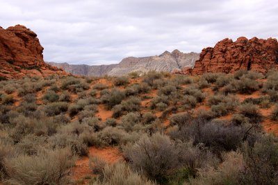 IMG_6215.jpg