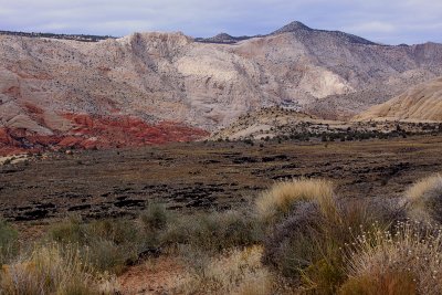 IMG_6398.jpg