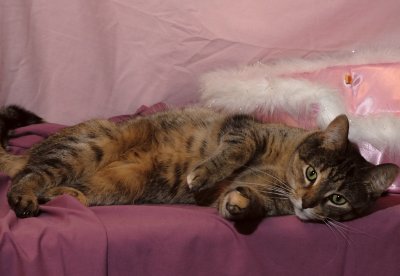 Mimi---Nook---0512.jpg