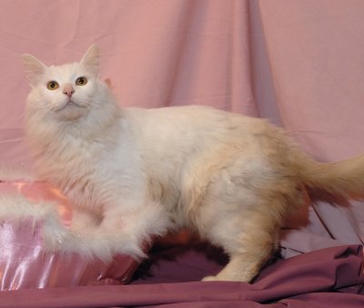 Rupert---Hall---0799.jpg
