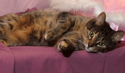 Mimi---Nook---0512.tif