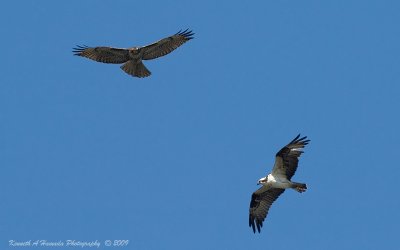 Misc_DSC9836.jpg