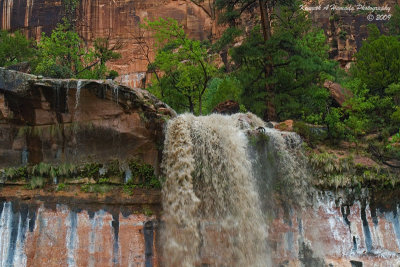 zion_np
