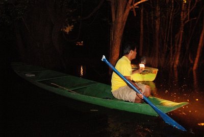 Nightime crocodile spotting, Amazon