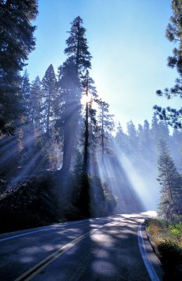 Sequoia National Park