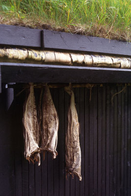 Stockfish in Kirkjubur