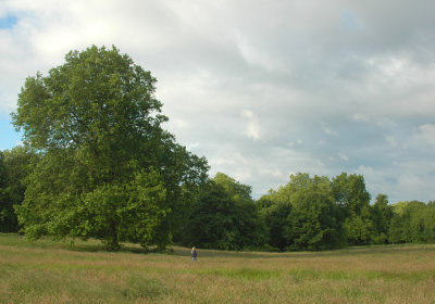 Country walks