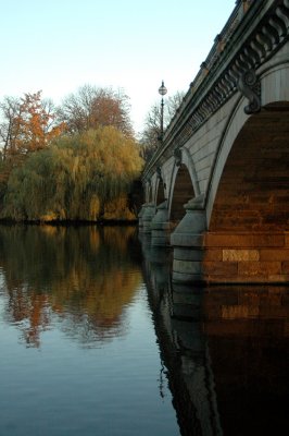 Early sun at park bridge