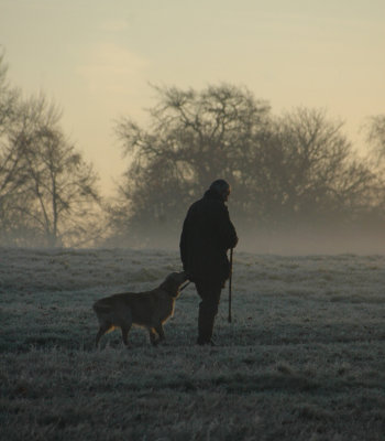 Winter walk