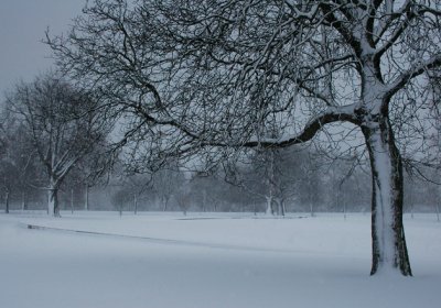 Diana Memorial in Winter