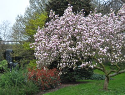 Colors of Spring