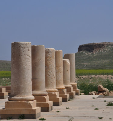 Pasargadae Palace with mountain fort