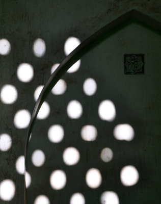 Reflections on mosque wall