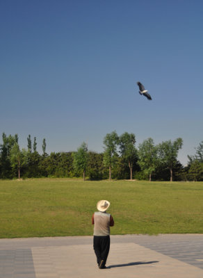 Kite pro at Chaoyang Park