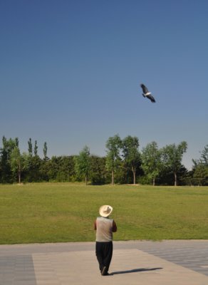 Skilled kite flying in Beijing