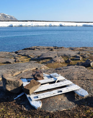 150 year old Arctic Fox trap