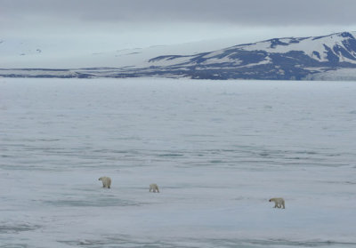 Heading across the ice