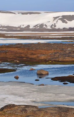 Lines of the tundra