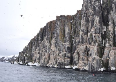 Cape Fanshawe bird cliffs