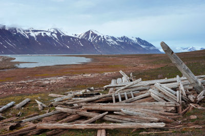 Ruins of 19th century trappers hut