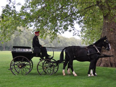 Transport for the officers