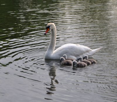 Family just 48 hours old