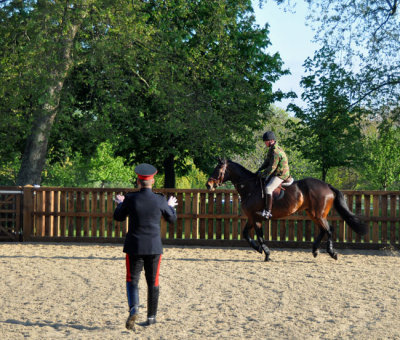 Training the Cavalry