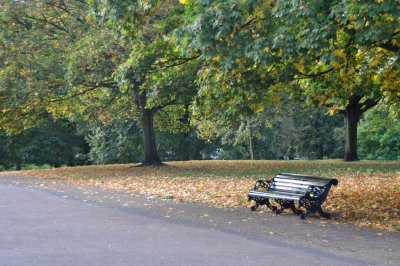 Autumn coming quickly