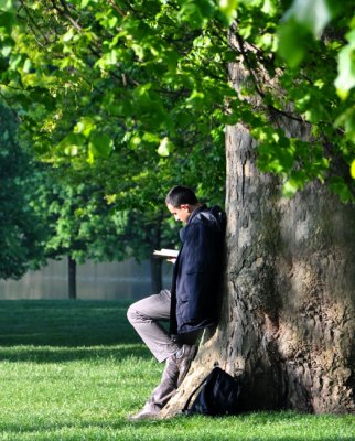 Bookworm at work