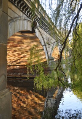 Early morning reflections