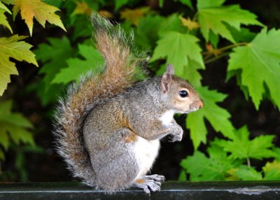 Eyeing some berries