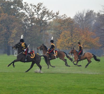 Kings Troop galloping in park