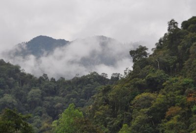 Inpenetrable jungle of Northern Laos