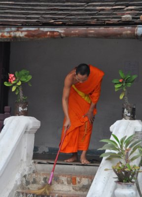 Morning chores