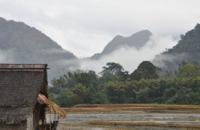 Farm near Nongkhiaw