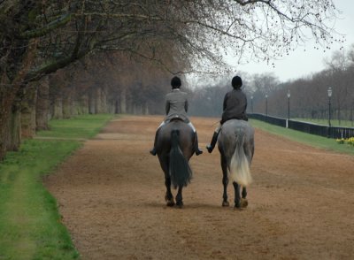 Riding Rotten Row