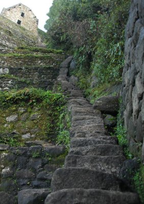 Near the top of Wayna Picchu